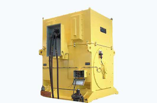 Double Cage Motor For Cement Mill