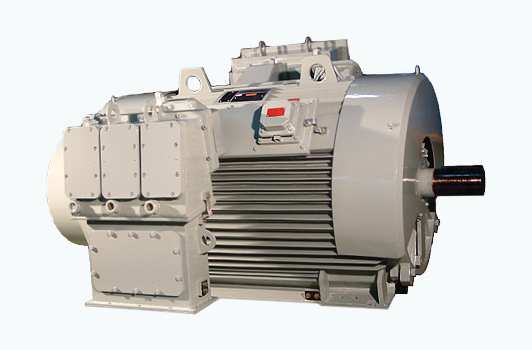 Fan Cooled Induction Motor